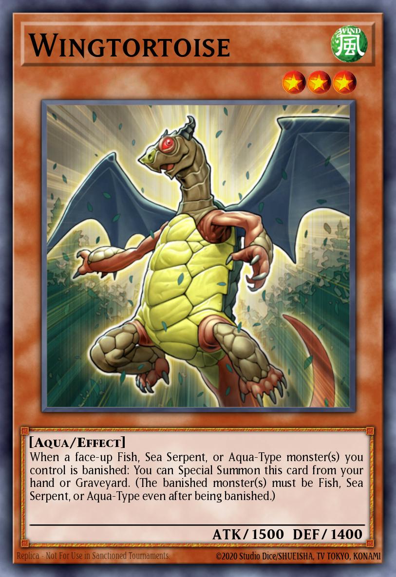 Wingtortoise - GENF-EN022 Rare