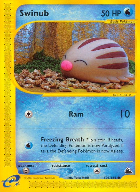 Swinub 107/144 Common | Skyridge | Pokemon Card