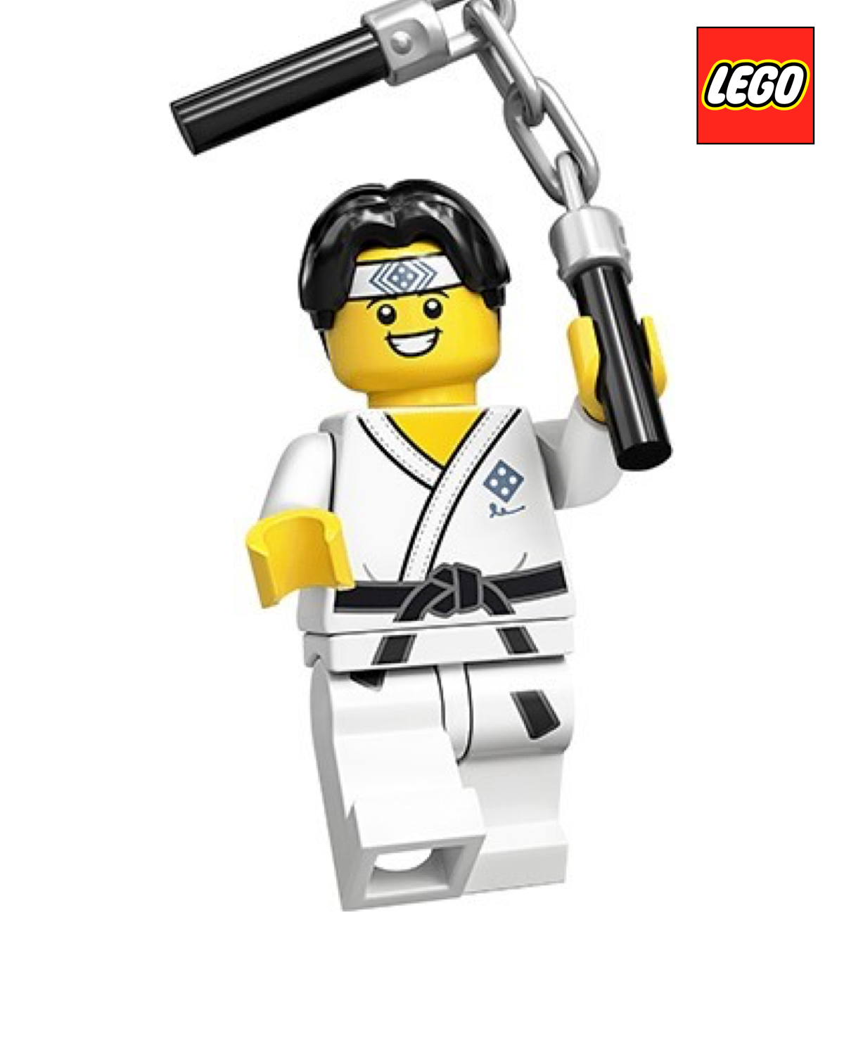 Martial Arts Boy - Series 20 | LEGO Minifigure | NEW CMF