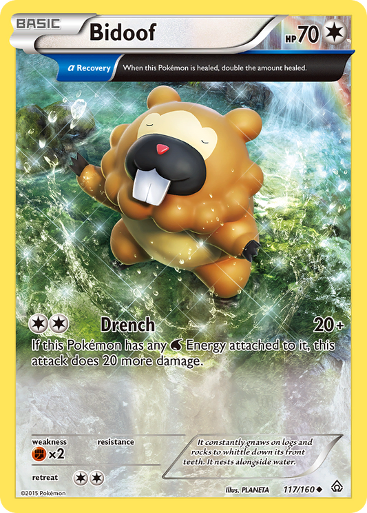 Bidoof 117/160 Uncommon | Primal Clash | Pokemon Card