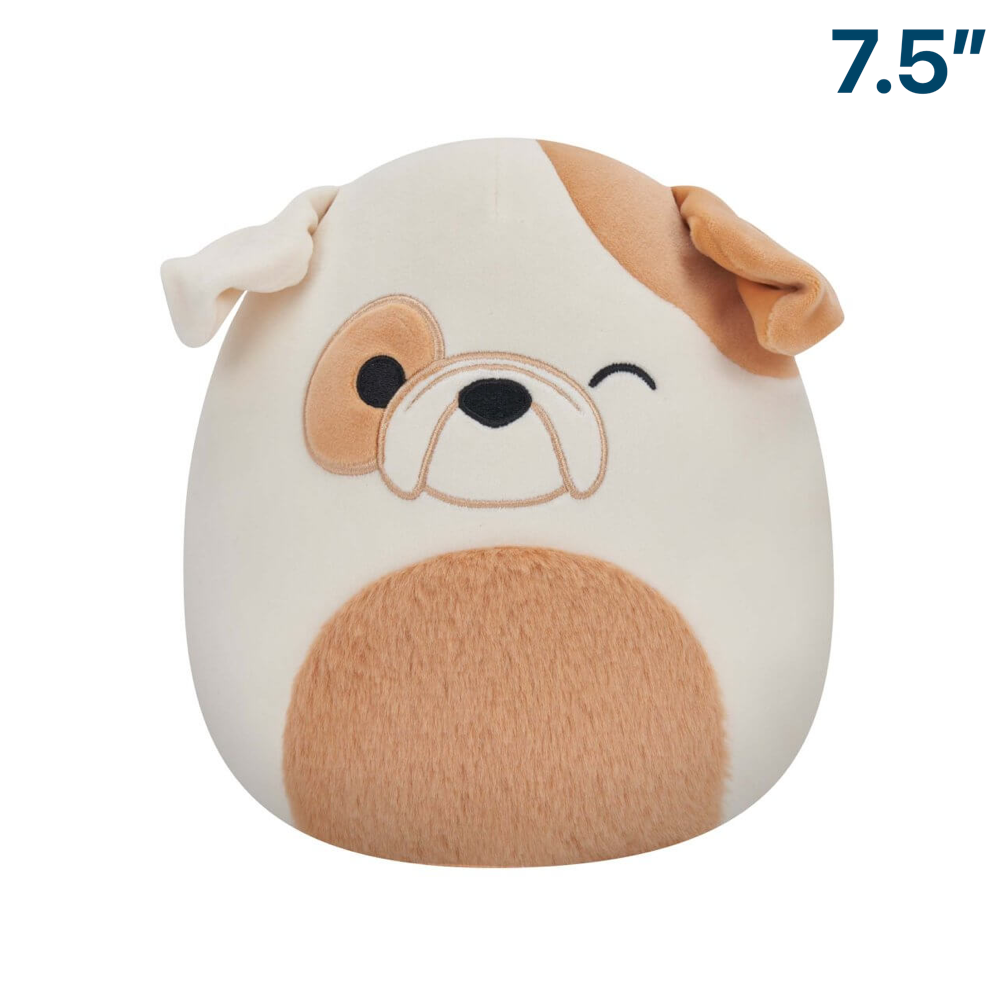 Brock the Bulldog with Fuzzy Belly ~ 7.5" Squishmallow Plush ~ In Stock!
