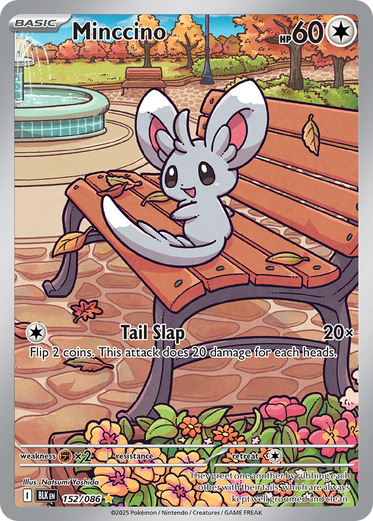 Minccino 152/86 Illustration Rare | Black Bolt | Pokemon Card
