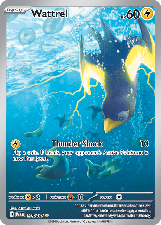 Wattrel 178/167 Illustration Rare | Twilight Masquerade | Pokemon Card