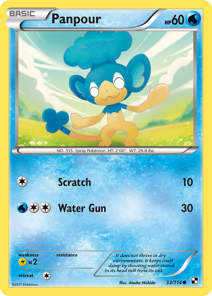 Panpour 33/114 Common | Black & White | Pokemon Card