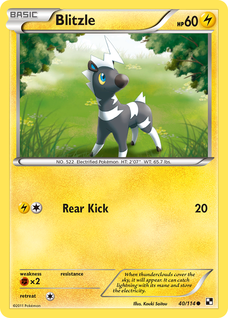 Blitzle 40/114 Common | Black & White | Pokemon Card