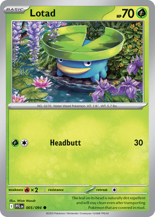 Lotad 5/94 Common | Phantasmal Flames | Pokemon Card