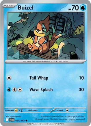 Buizel 57/182 Reverse Holo | Destined Rivals | Pokemon Card