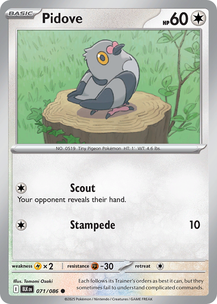 Pidove 71/86 Common | Black Bolt | Pokemon Card