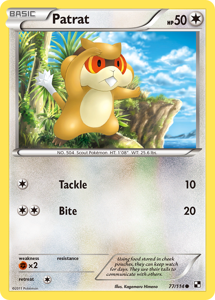 Patrat 77/114 Common | Black & White | Pokemon Card