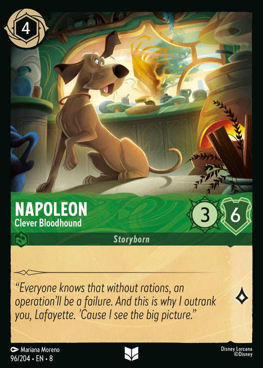 Napoleon - Clever Bloodhound