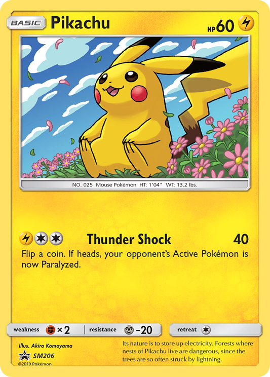 Pikachu SM206/248 Promo | SM Black Star Promos | Pokemon Card