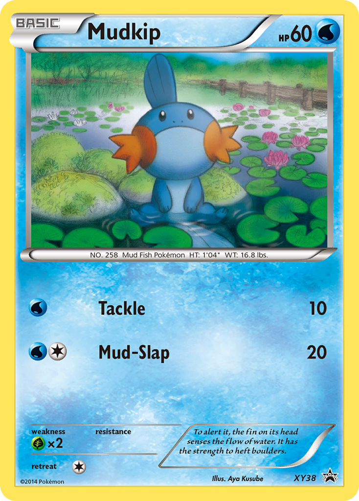 Mudkip XY38/211 Promo | XY Black Star Promos | Pokemon Card
