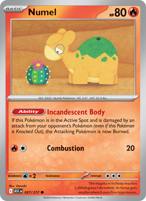 Numel 27/217 Common | Ascended Heroes | Pokemon Card