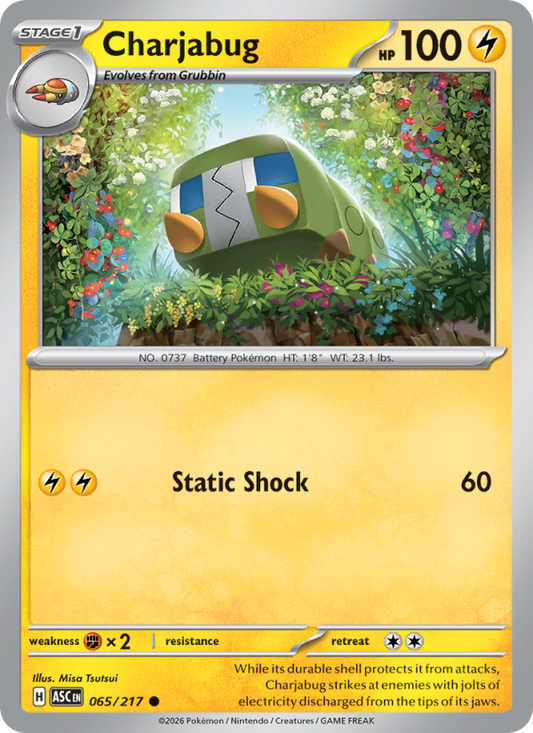 Charjabug 65/217 Common | Ascended Heroes | Pokemon Card