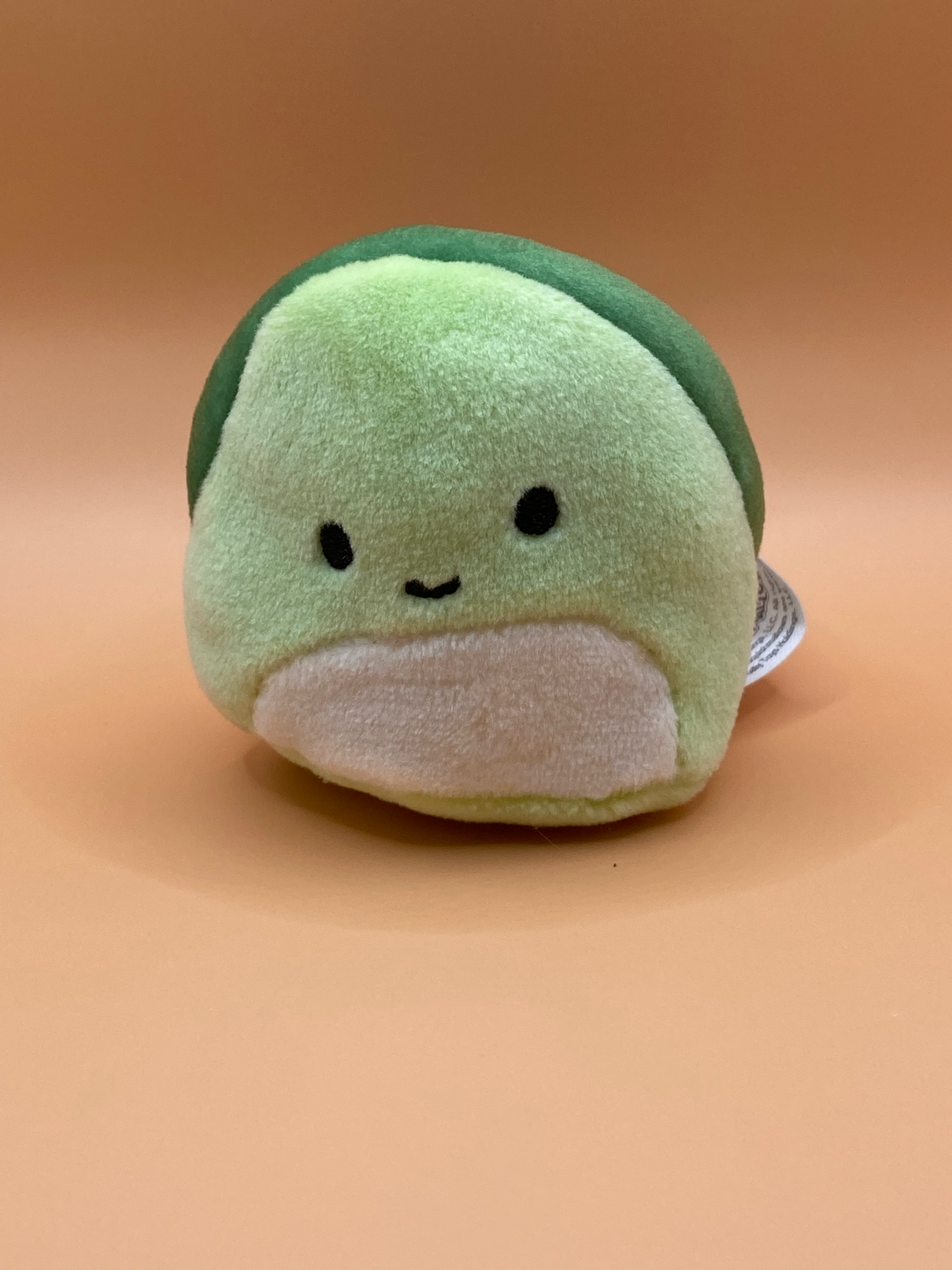 Turtle ~ 2" Individual Squishville by Squishmallows