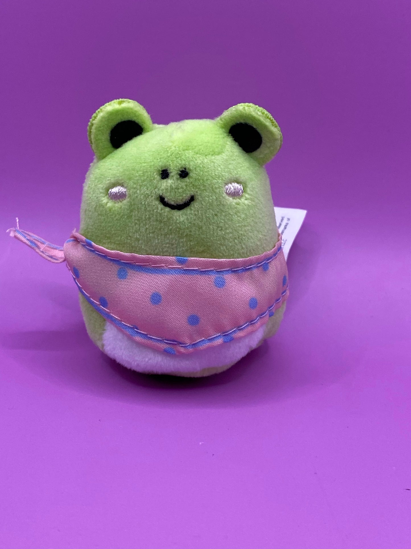 RARE ~ Green Frog with Pink Bandana ~ 2" Individual Squishville by Squishmallows ~ LIMIT 1 PER CUSTOMER