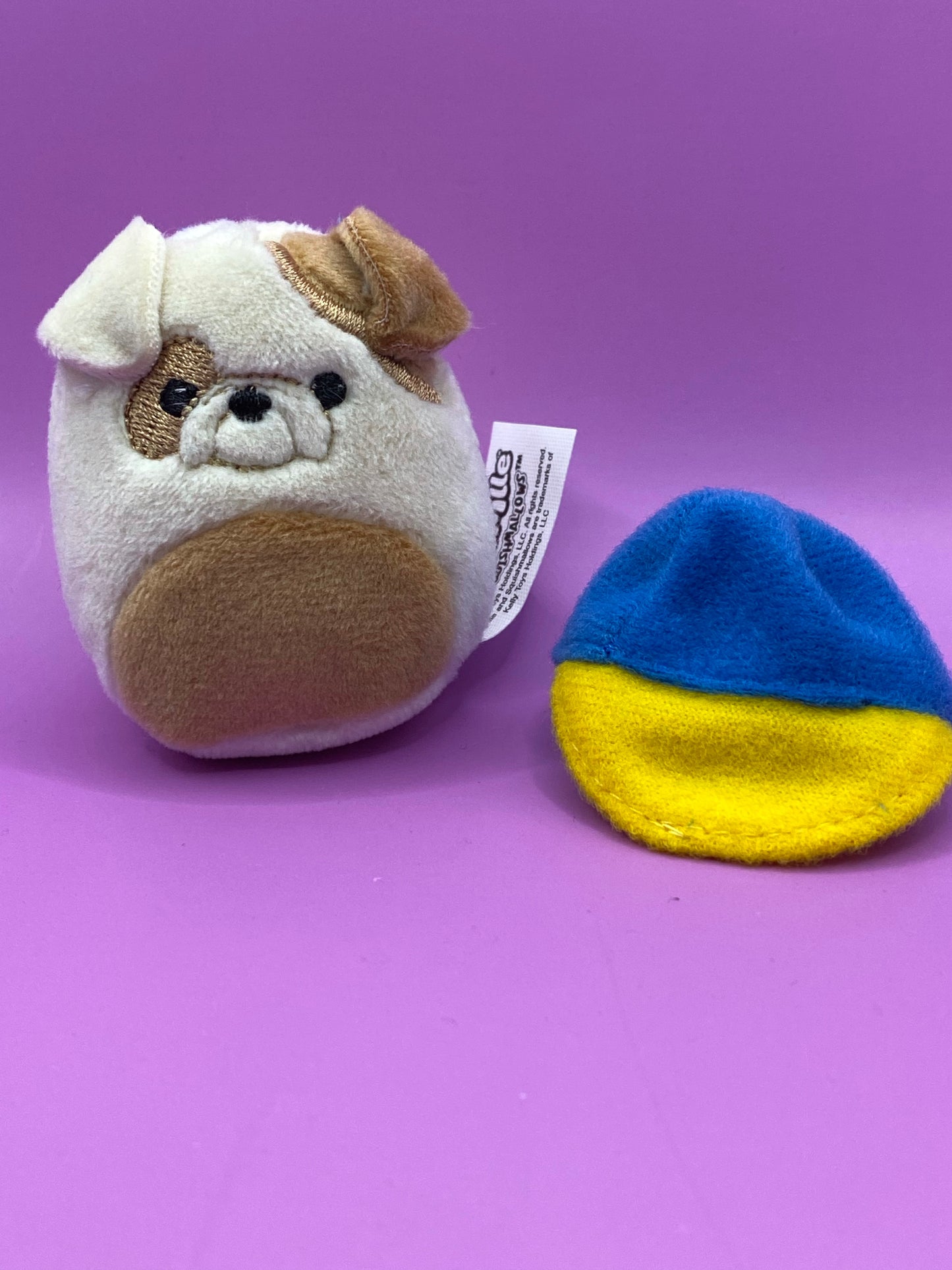 Brock the Bulldog with Blue Cap ~ 2" Individual Squishville by Squishmallows