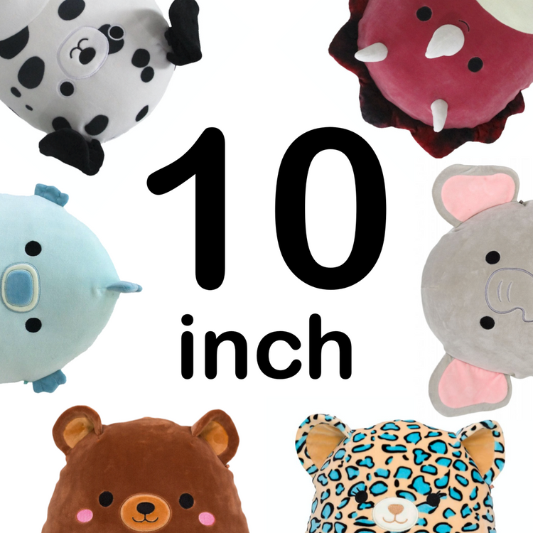10 Inch