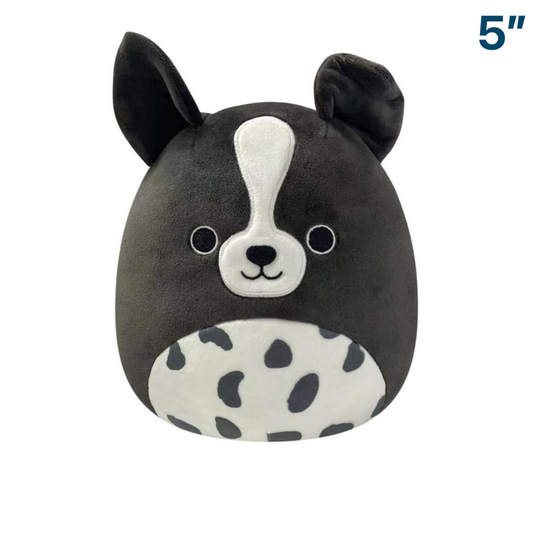 Monty the Black and White Dog ~ 5" Squishmallow Plush