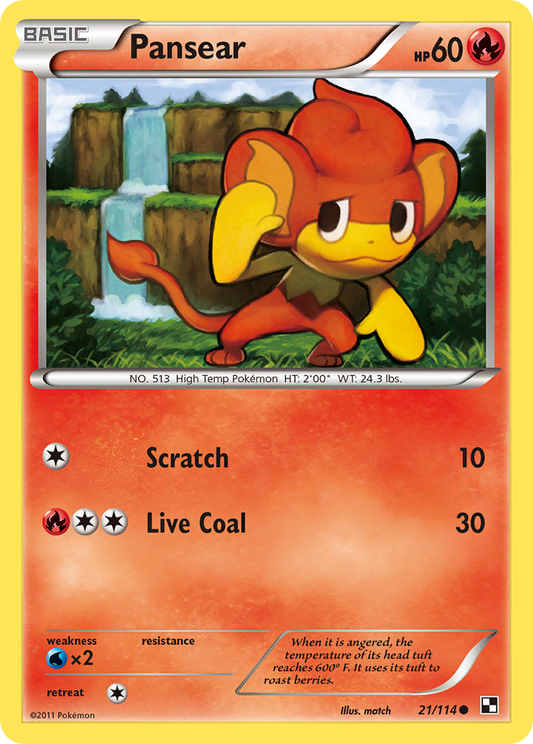 Pansear 21/114 Common | Black & White | Pokemon Card