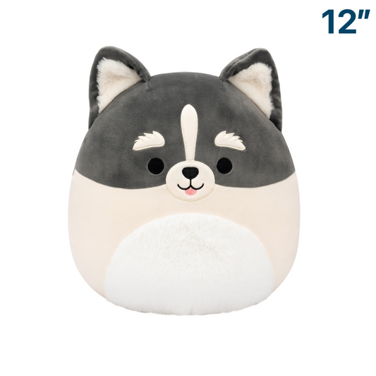 Paolo the Pomsky Dog ~ 12" Squishmallow Plush