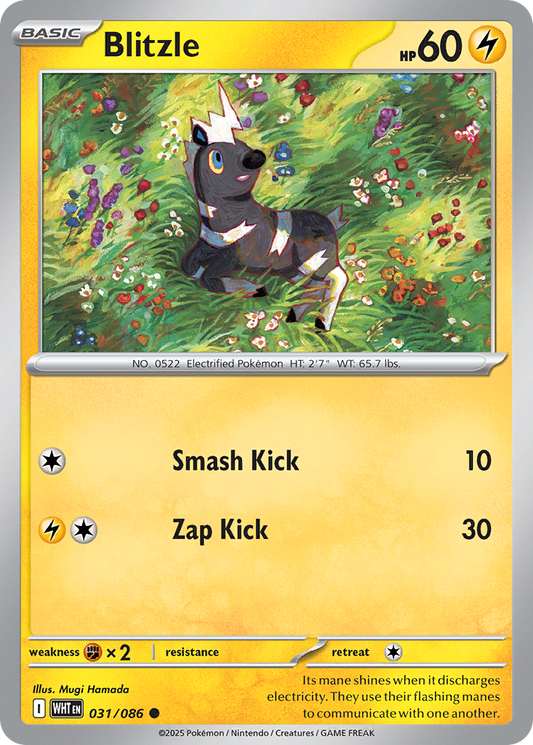 Blitzle 31/86 Common | White Flare | Pokemon Card