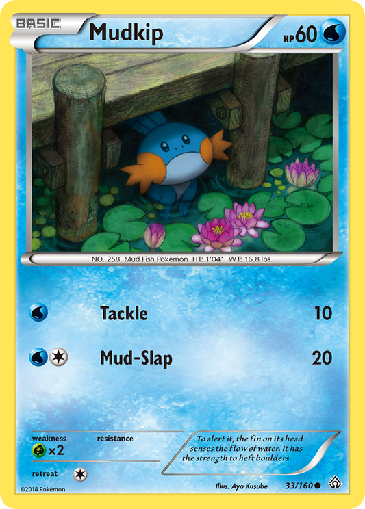 Mudkip 33/160 Common | Primal Clash | Pokemon Card