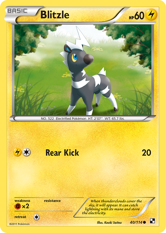 Blitzle 40/114 Common | Black & White | Pokemon Card