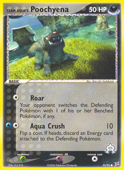 Team Aqua's Poochyena 55/95 Common | Team Magma vs Team Aqua | Pokemon Card
