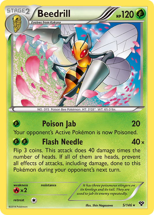 Beedrill 5/146 Rare | XY | Pokemon Card