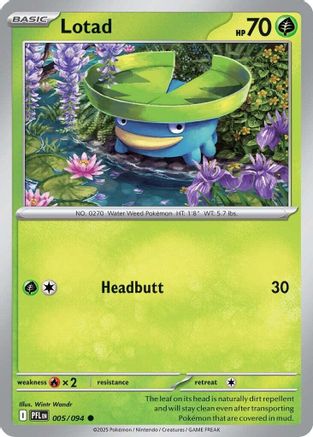 Lotad 5/94 Reverse Holo | Phantasmal Flames | Pokemon Card