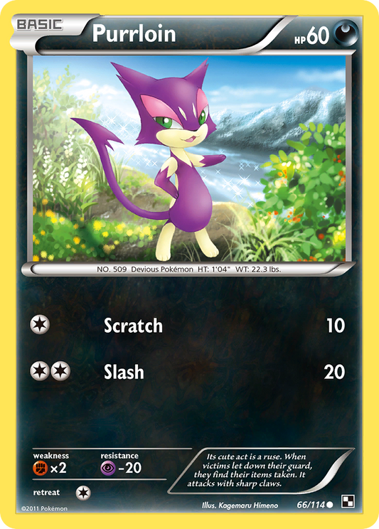 Purrloin 66/114 Common | Black & White | Pokemon Card