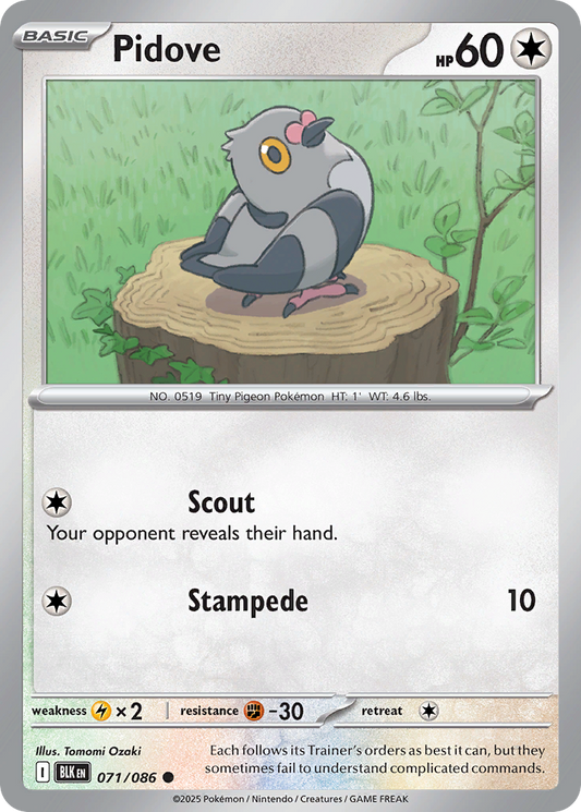 Pidove 71/86 Common | Black Bolt | Pokemon Card