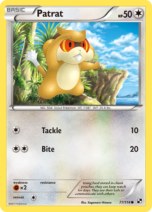 Patrat 77/114 Common | Black & White | Pokemon Card