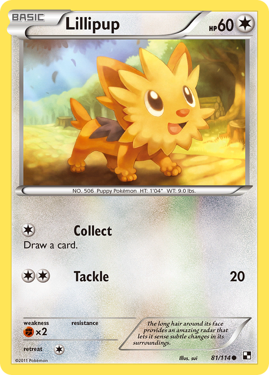 Lillipup 81/114 Common | Black & White | Pokemon Card
