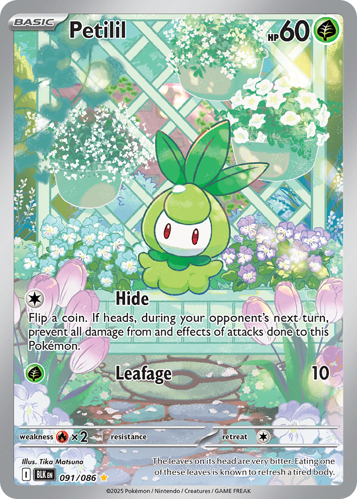 Petilil 91/86 Illustration Rare | Black Bolt | Pokemon Card