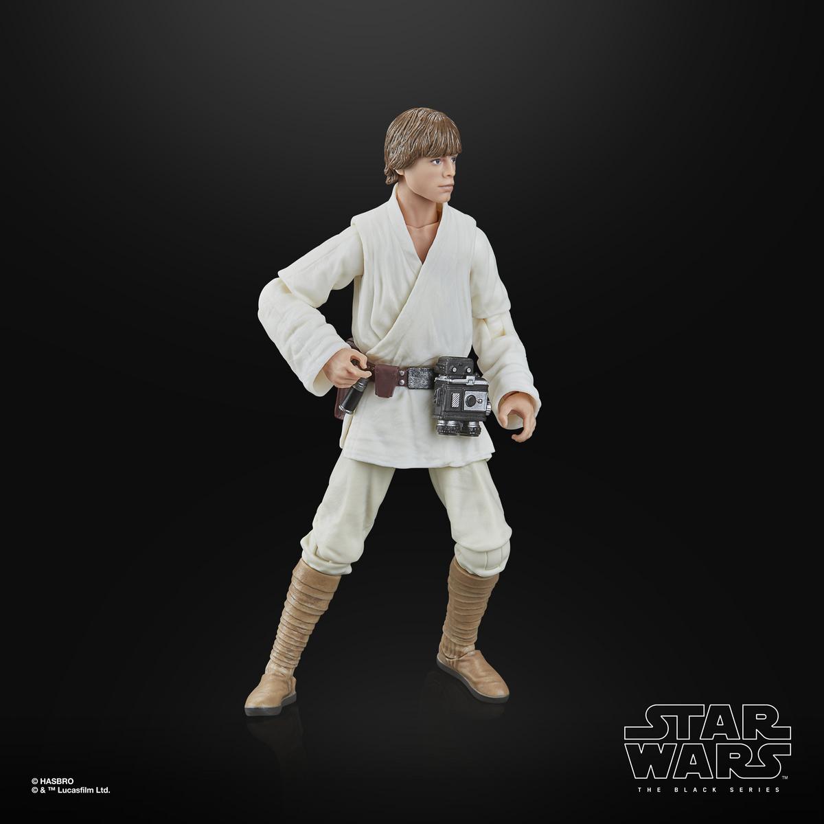 Luke Skywalker | Star Wars Black Series | Hasbro Action Figure