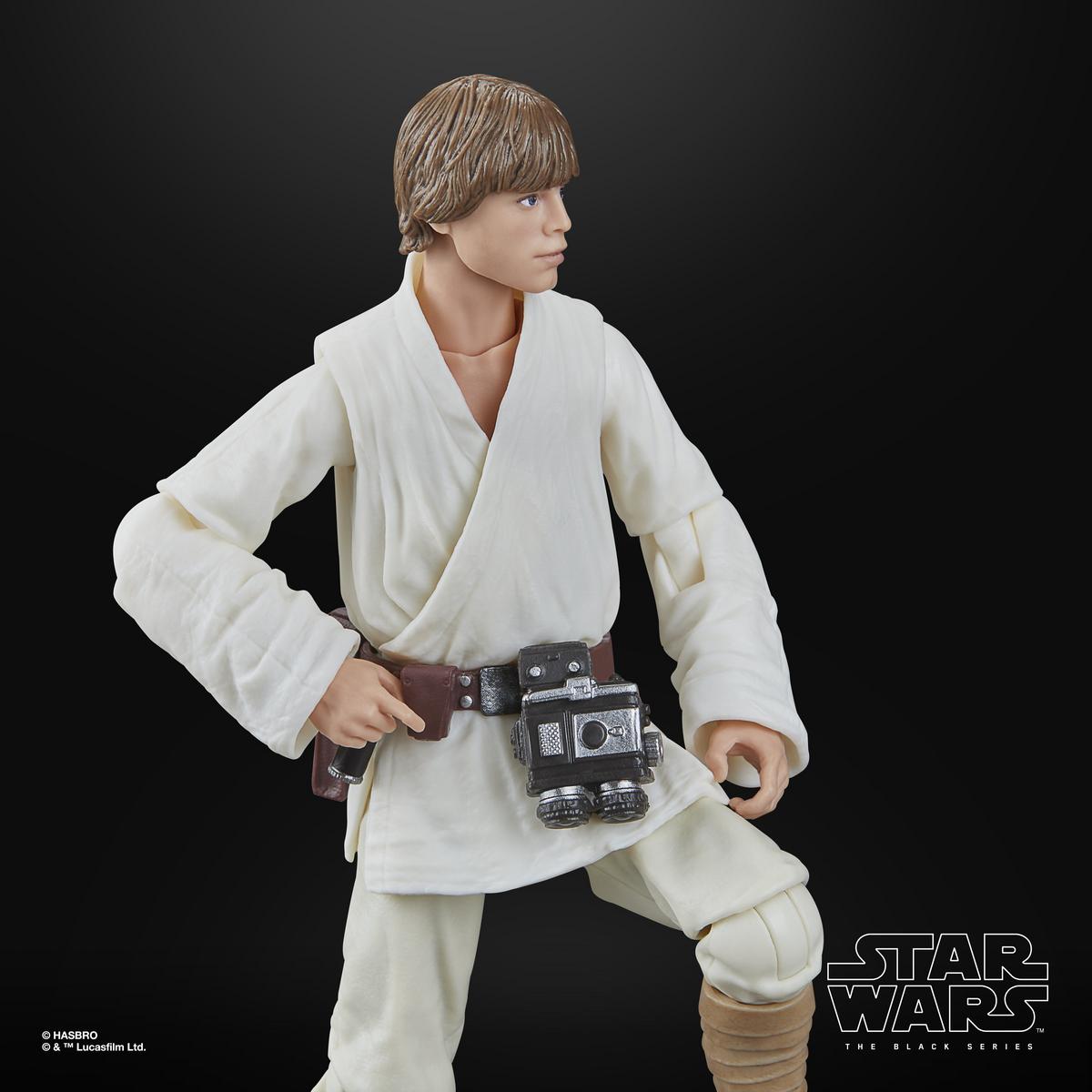 Luke Skywalker | Star Wars Black Series | Hasbro Action Figure