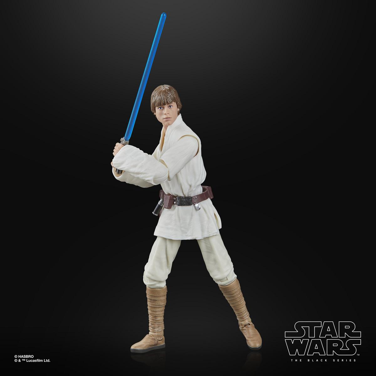 Luke Skywalker | Star Wars Black Series | Hasbro Action Figure