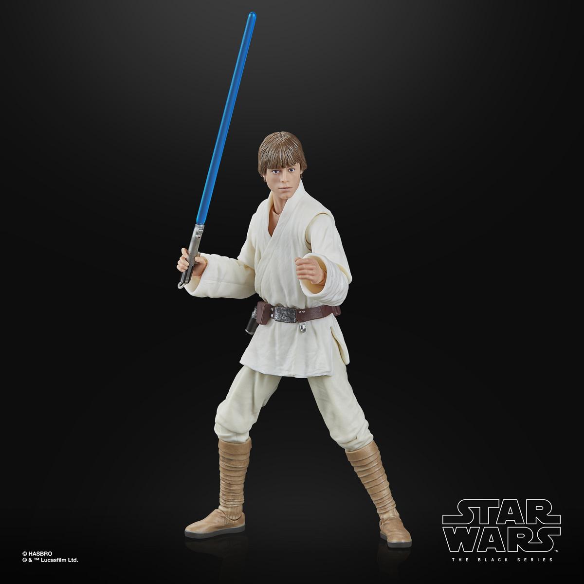 Luke Skywalker | Star Wars Black Series | Hasbro Action Figure