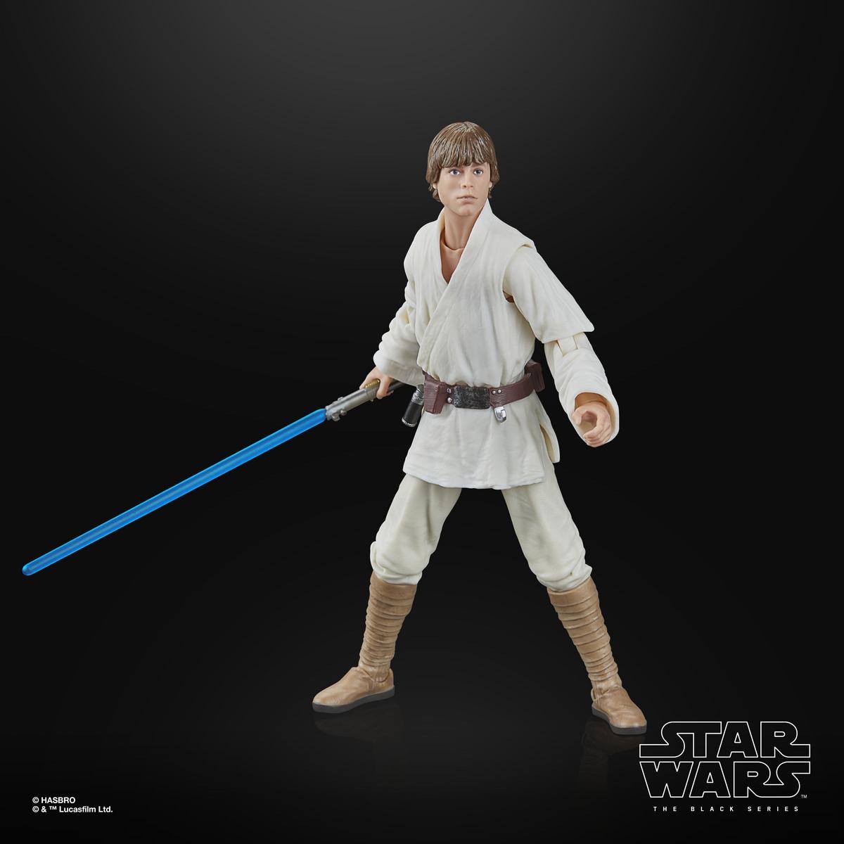 Luke Skywalker | Star Wars Black Series | Hasbro Action Figure