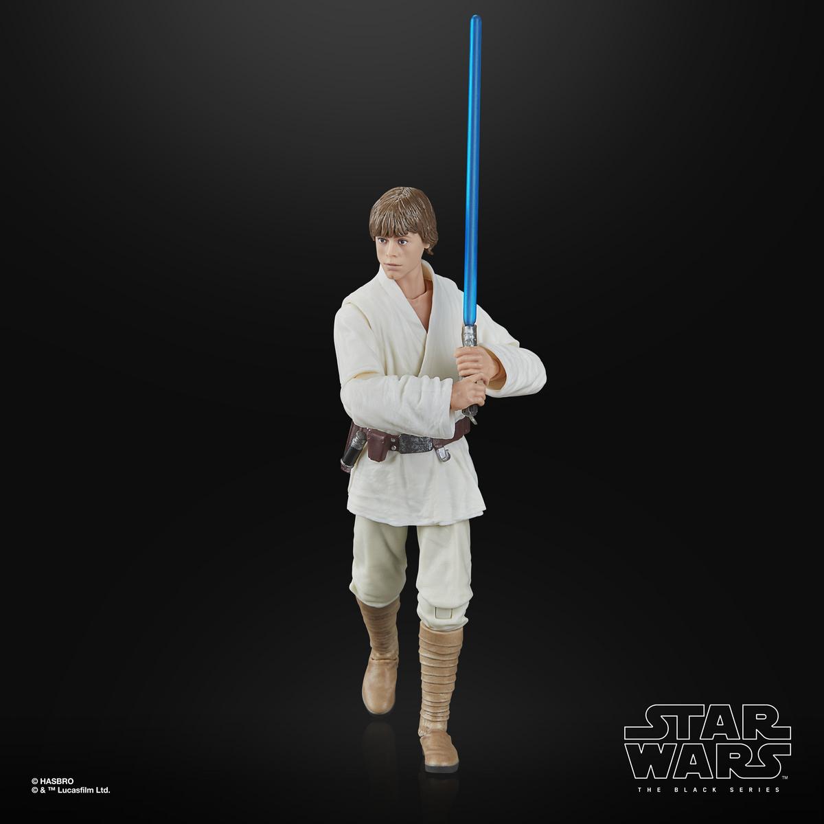 Luke Skywalker | Star Wars Black Series | Hasbro Action Figure