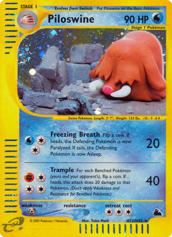 Piloswine H22/144 Rare Holo | Skyridge | Pokemon Card