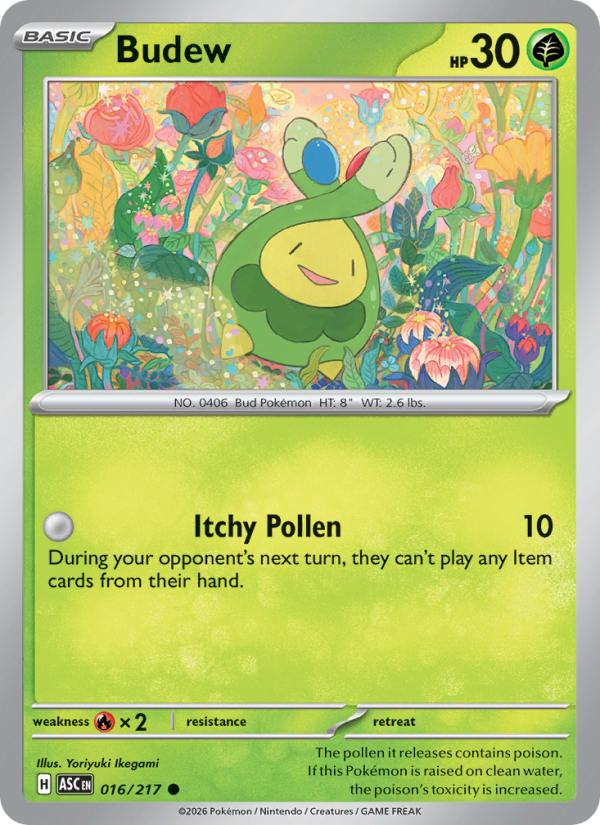 Budew 16/217 Common | Ascended Heroes | Pokemon Card