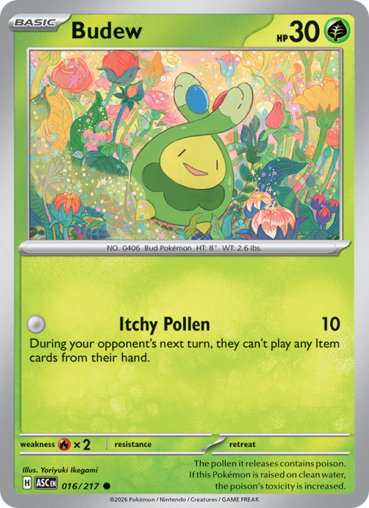 Budew 16/217 Common | Ascended Heroes | Pokemon Card