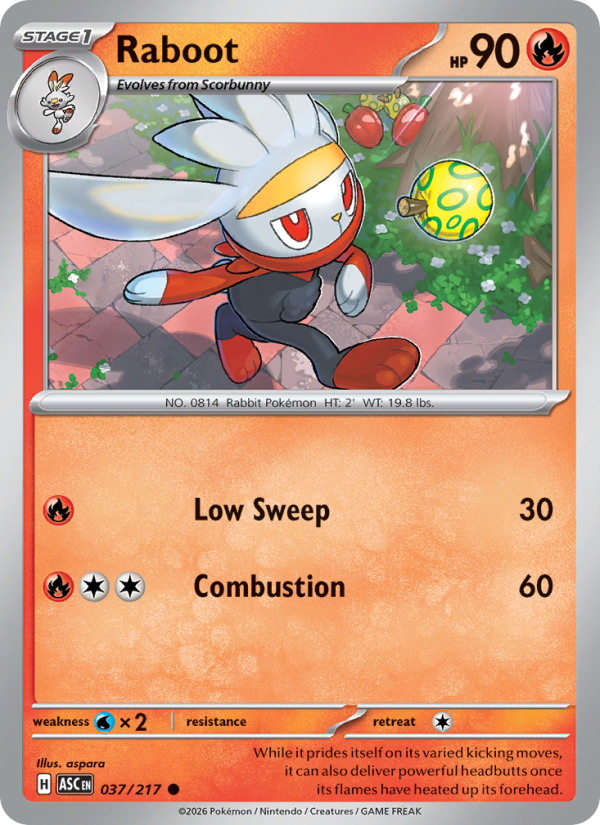 Raboot 37/217 Common | Ascended Heroes | Pokemon Card