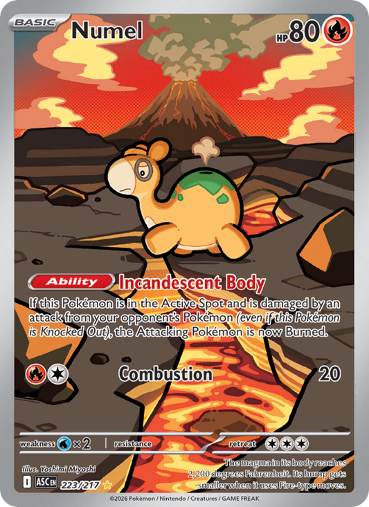 Numel 223/217 Illustration Rare | Ascended Heroes | Pokemon Card